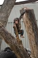 Kids_DFWzoo_3-2016 (273)